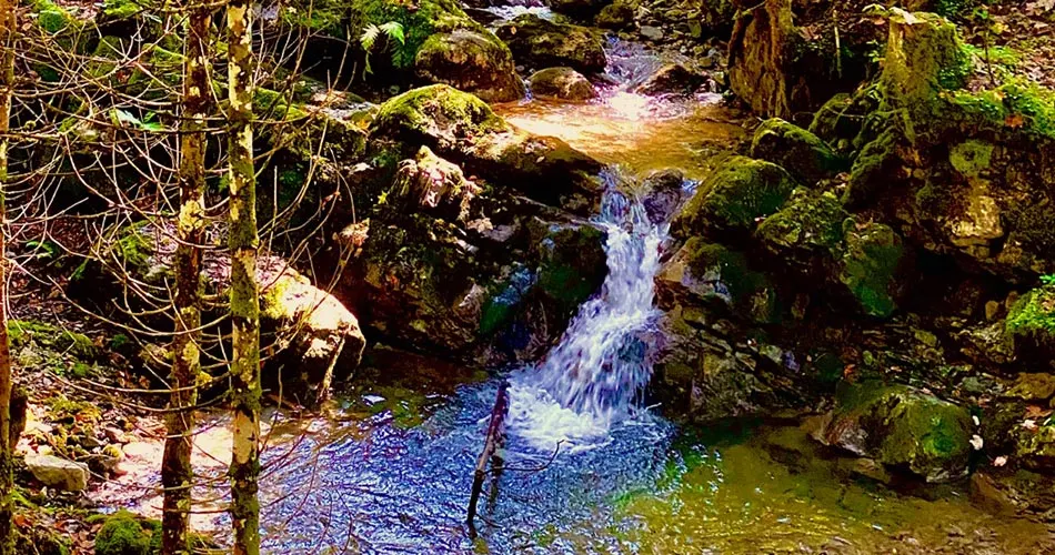 Kleiner Wasserfall in einem Waldbach