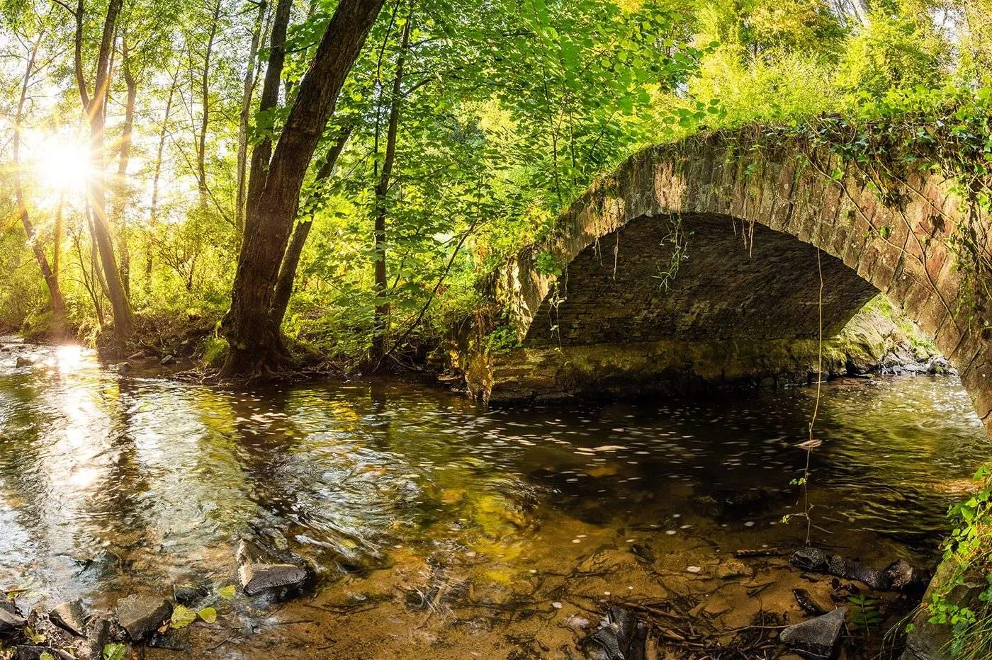 Steinbrücke über einem Bach im Wald, Sonne scheint durch die Bäume